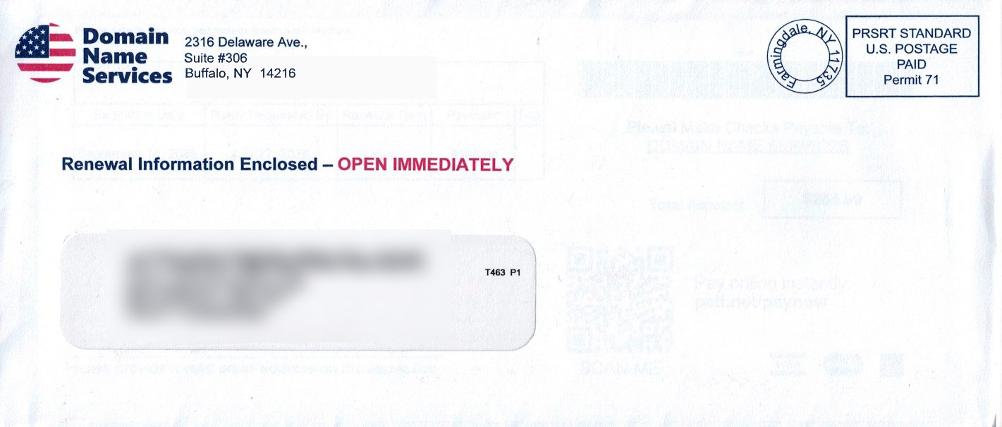 Envelope from Domain Name Services, Buffalo, New York, printed with an American flag logo and the line Renewal Information Enclosed &ndash; OPEN IMMEDIATELY. The window shows the recipient's domain name in place of a person's name. Recipient details redacted.